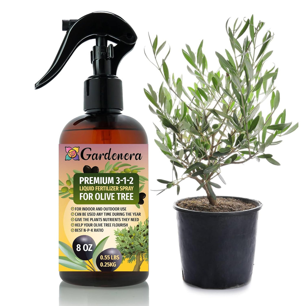 Professional Olive Tree Spray Fertilizer Mist for Home Gardening | 3-1-2 Gentle Blend Mist for Healthy Leaves & Growth | Essential Nutrients for Olive Trees - 8oz