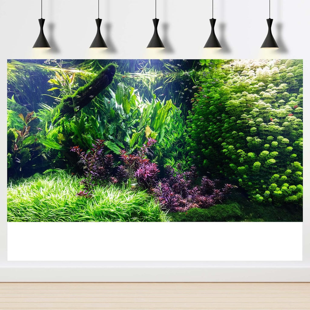 Aquarium Background Various Underwater Grass Plants Aquarium Backdrop Vivid and Fresh Green Aquatic Plants Stone River Bed and Dead Wood Tank Background Vinyl 36x18in