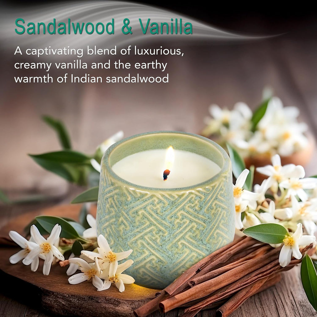 The Growing Candle, Sandalwood & Vanilla Scented, 10oz Ceramic Pot, Aromatherapy Candles for Home, 100% Soy, Ida
