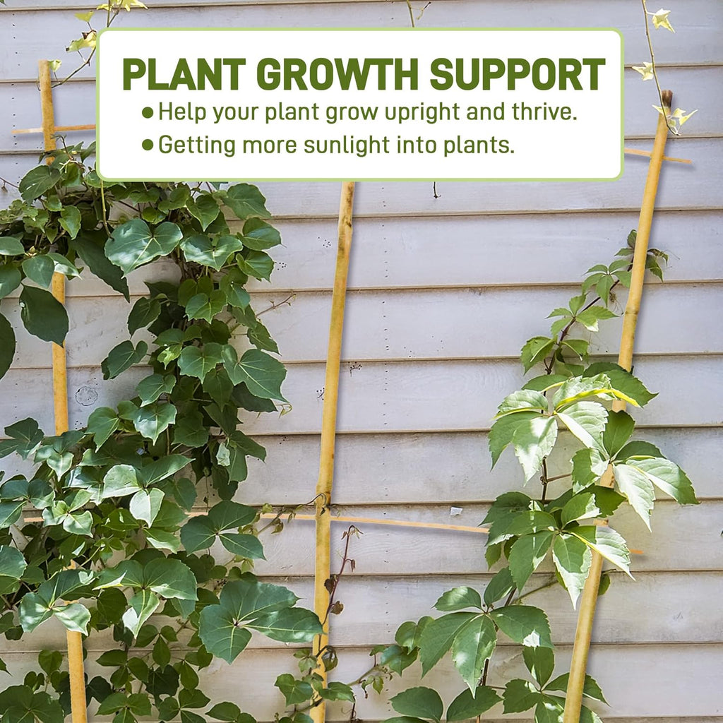 Avalution 10 Pack Bamboo Trellis for Climbing Plants, 4 FT Garden Ladder Trellis for Potted Plants Indoor, Fan-Shaped Small Plant Support Trellis for Houseplants Ivy Hoya Vine Monstera