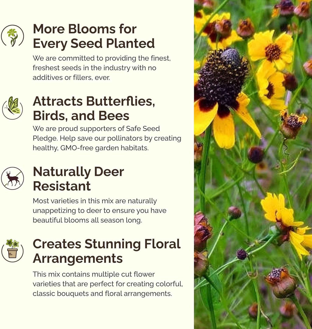 Eden Brothers Conehead Flower Mixed Seeds for Planting, 1 lb, 480,000+ Seeds with Prairie Coneflower, Mexican Hat | Attracts Pollinators, Plant in Spring or Fall, Zones 3, 4, 5, 6, 7, 8, 9, 10