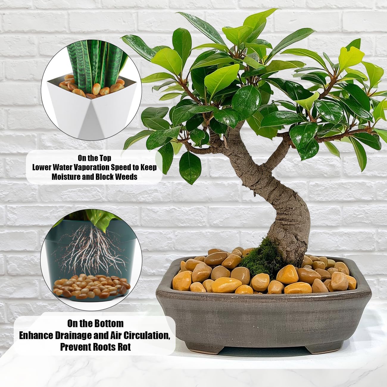 5 Lbs River Rocks for Plants,0.8-1.5 Inch Decorative Ornamental Pebbels, High Polished Stones for Garden Landscaping, Smooth Gravel Filler for Outdoor Plants, Succulents, Fish Tank and Vases, Yellow