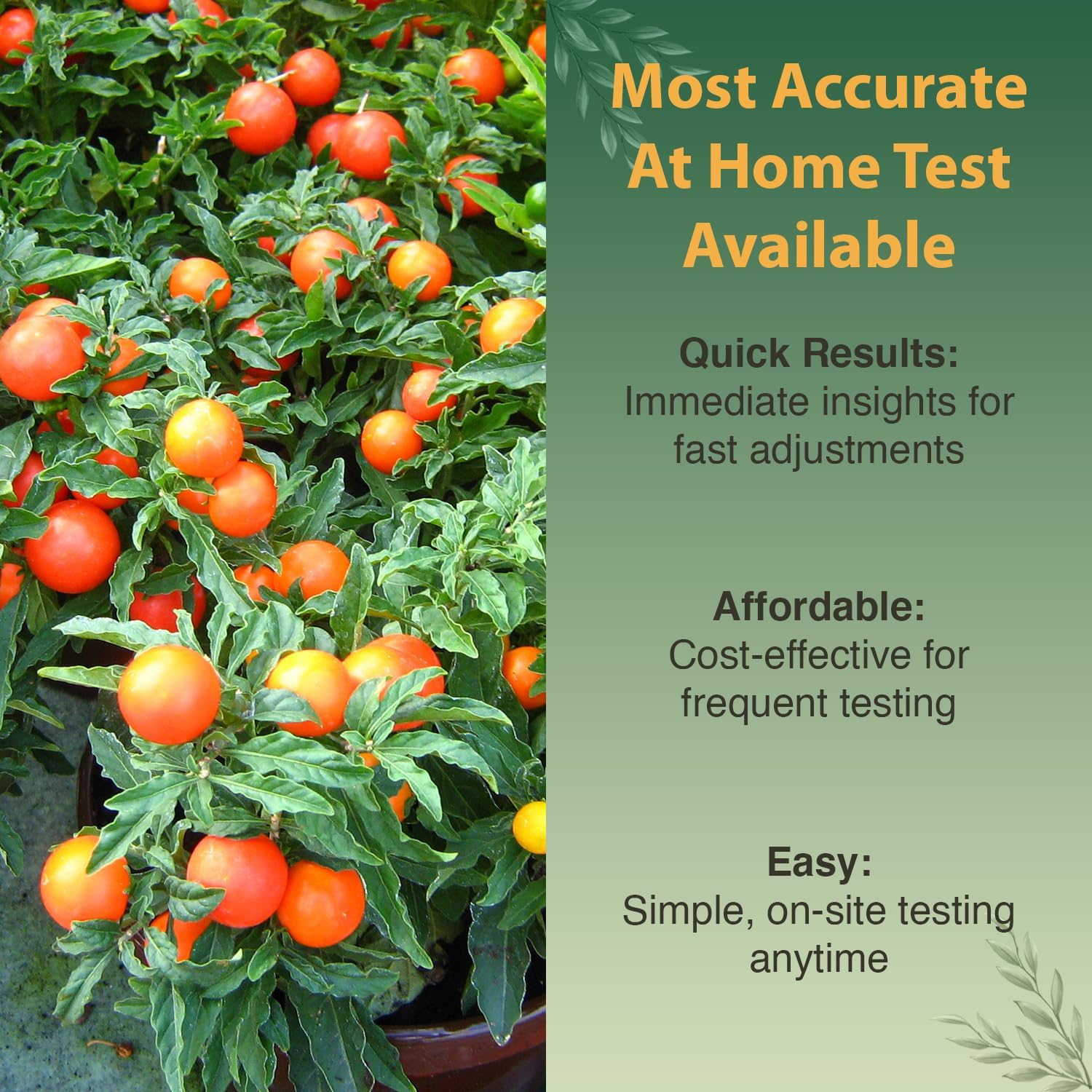 Premium Soil Test Kit: 40 Complete Tests for Lawns, Gardens, and Vegetables. Tests for Ammonia Nitrogen, pH, Phosphorus, and Potassium.