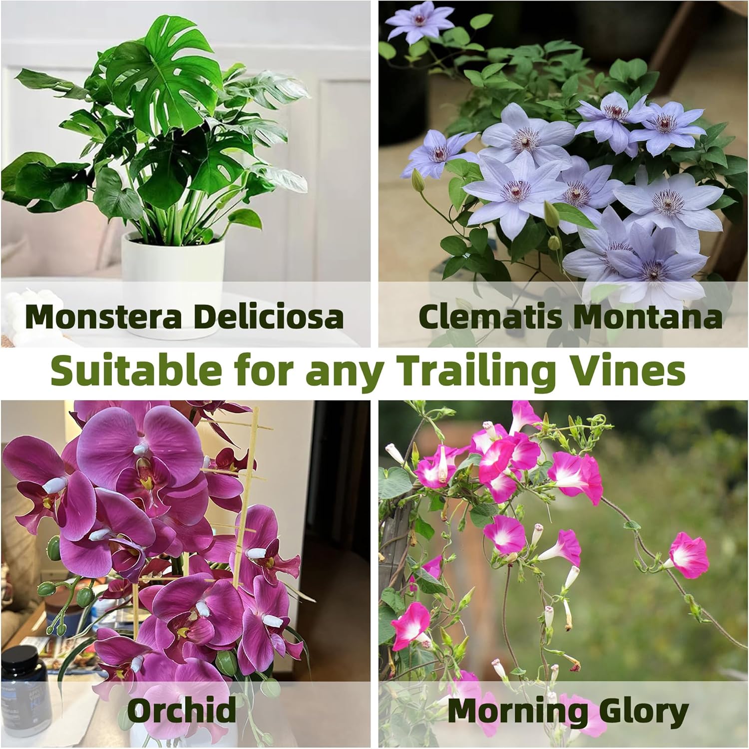 Bamboo Trellis for Climbing Plants 20 Pack, 16 Inch Garden Ladder Trellis for Potted Plants Indoor, Small Plant Support Trellis for Houseplants Vine