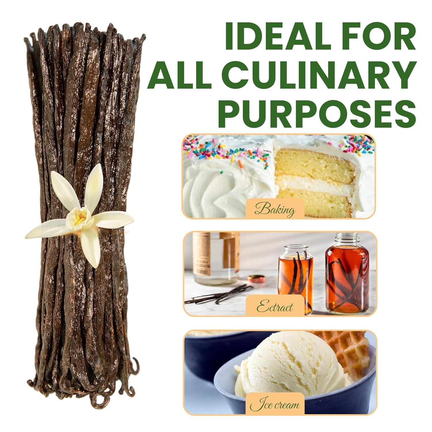 16oz (1 Pound) Count Organic Madagascar Vanilla Beans – Grade A Bourbon Pods | Gourmet Whole Vanilla Beans for Baking, Cooking, Extract Making | Rich Aroma, Premium Flavor, Non-GMO, Vegan