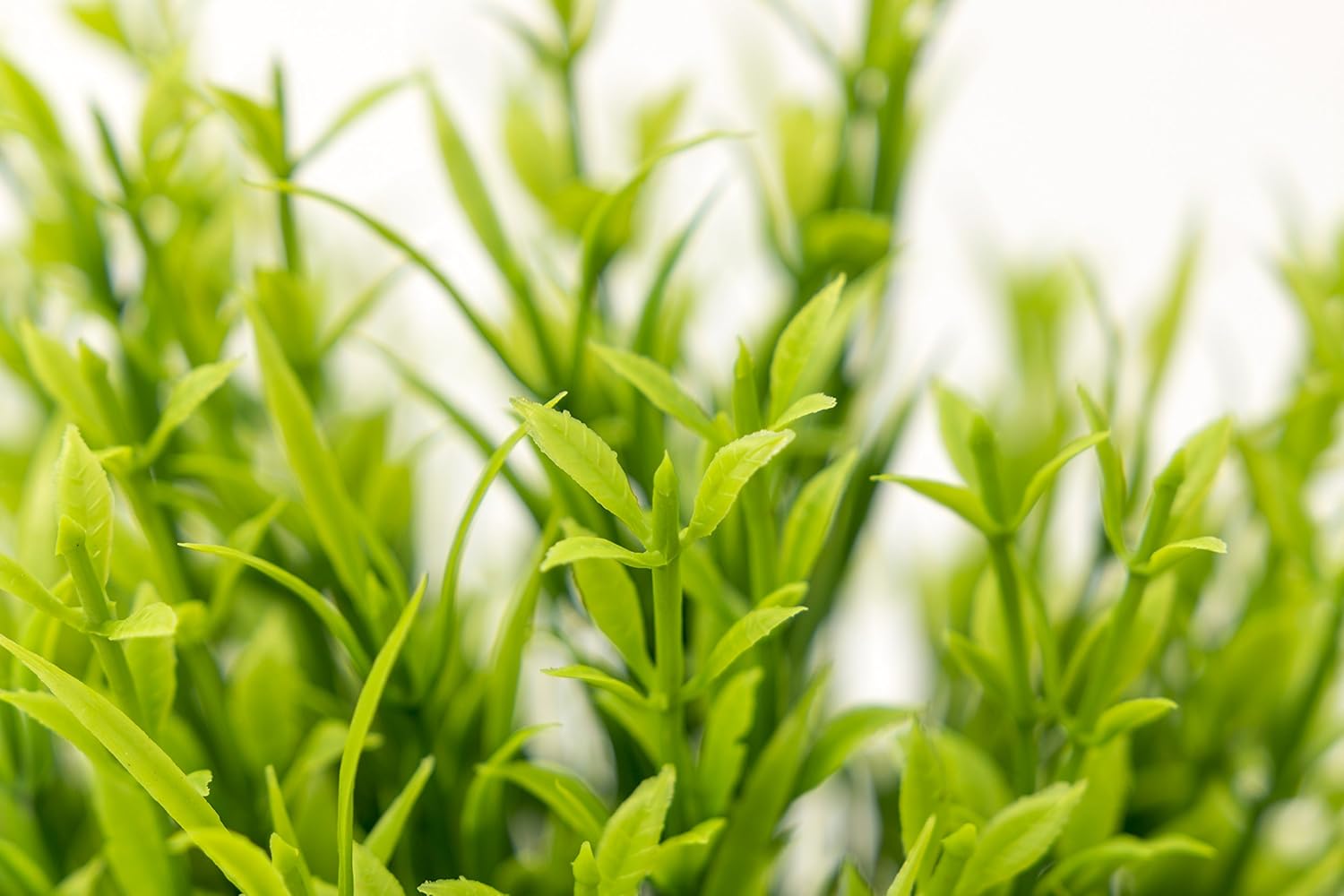 BEGONDIS Aquarium Decorations Fish Tank Artificial Green Water Plants Made of Soft Plastic