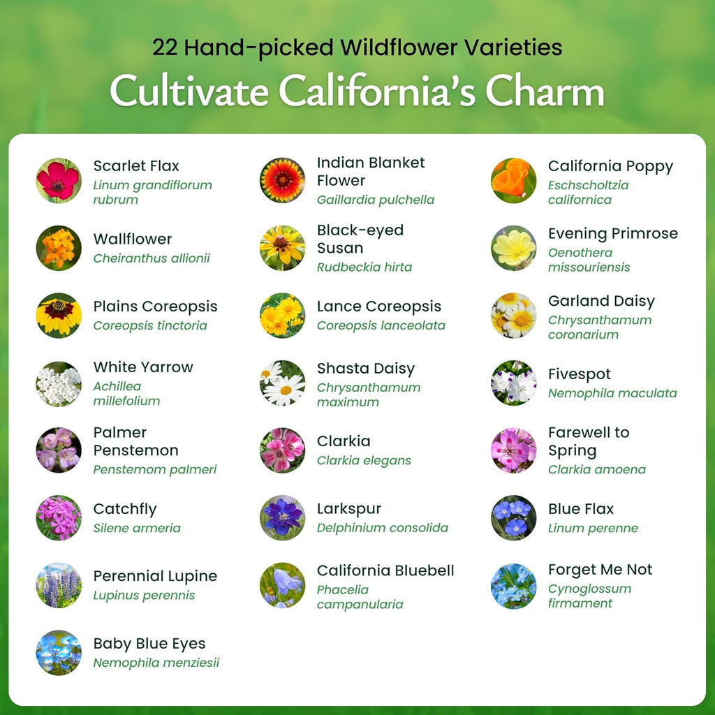 Created By Nature California Wildflower Seed Mix with Poppies, 22 Flower Varieties, 54,000+ Seeds