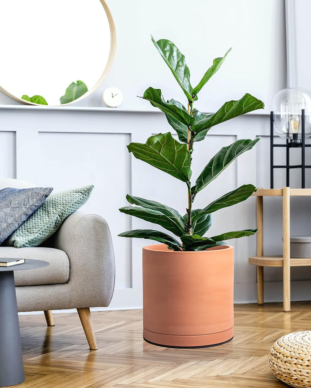 D'vine Dev X-Large 12 Inch Terracotta Plant Pot with Drainage Hole and Saucer, Round Cylinder Planter Pot for Indoor Plants, 40-X-A-6