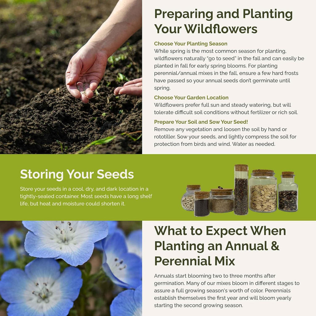 Eden Brothers Singin the Blues Wildflower Mixed Seeds for Planting, 5 lb, 2,400,000+ Seeds with Blue Flax, Lupine, Chicory, Attracts Pollinators, Plant in Spring or Fall, Zones 3, 4, 5, 6, 7, 8, 9, 10