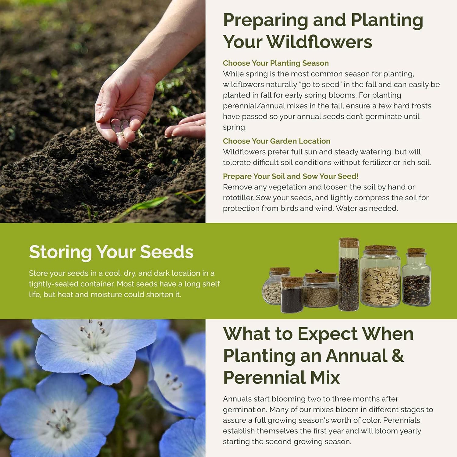 Eden Brothers Singin the Blues Wildflower Mixed Seeds for Planting, 5 lb, 2,400,000+ Seeds with Blue Flax, Lupine, Chicory, Attracts Pollinators, Plant in Spring or Fall, Zones 3, 4, 5, 6, 7, 8, 9, 10