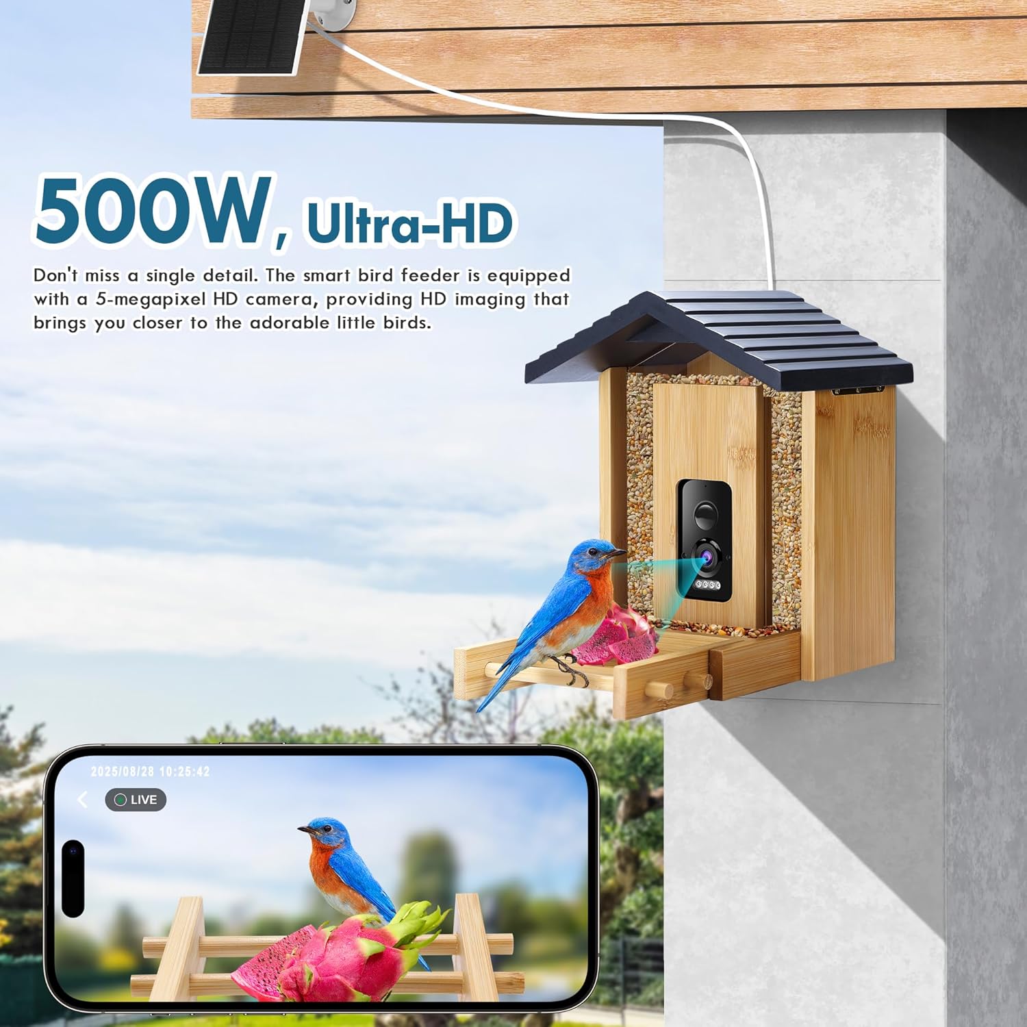 Bird Feeder, 5MP Solar-Powered Smart Bird Feeder with Camera, AI Identifies Birds 10000+, 2.4GHz, Color Night Vision, Instant Notification, Easy to Use, 1.5L Birds Feeders for Outdoor, Yard