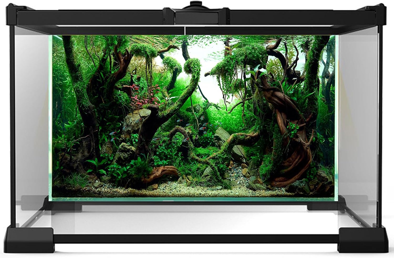 Aquarium Background Underwater Pebble Grass Leaves Aquarium Backdrop Vivid Fresh Green Aquatic Plant Stone River Bed Aquarium Backdrop Deadwood Purple Leaves Tank Background Vinyl 72x16in