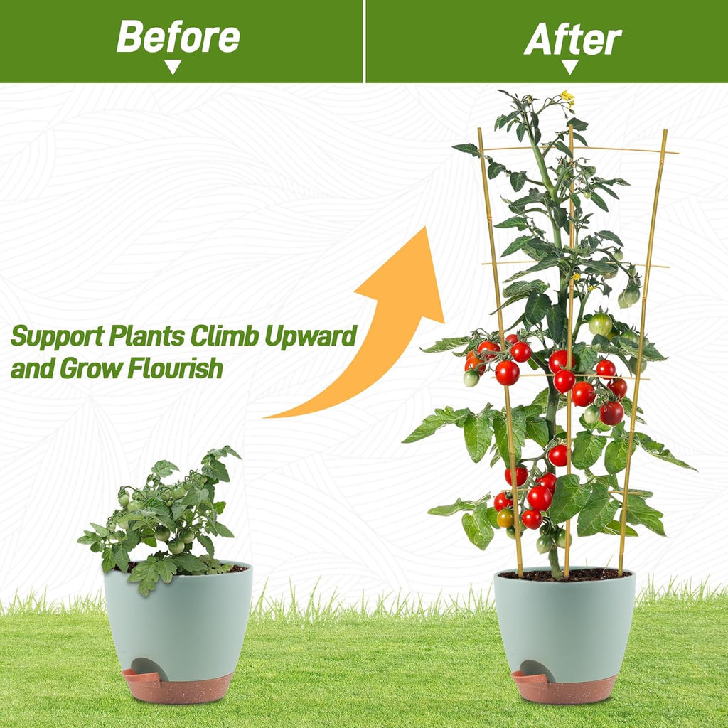 Avalution 10 Pack Bamboo Trellis for Climbing Plants, 3 FT Garden Ladder Trellis for Potted Plants Indoor, Fan-Shaped Small Plant Support Trellis for Houseplants Ivy Hoya Vine Monstera