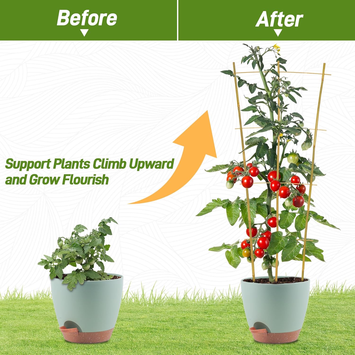 Avalution 10 Pack Bamboo Trellis for Climbing Plants, 3 FT Garden Ladder Trellis for Potted Plants Indoor, Fan-Shaped Small Plant Support Trellis for Houseplants Ivy Hoya Vine Monstera