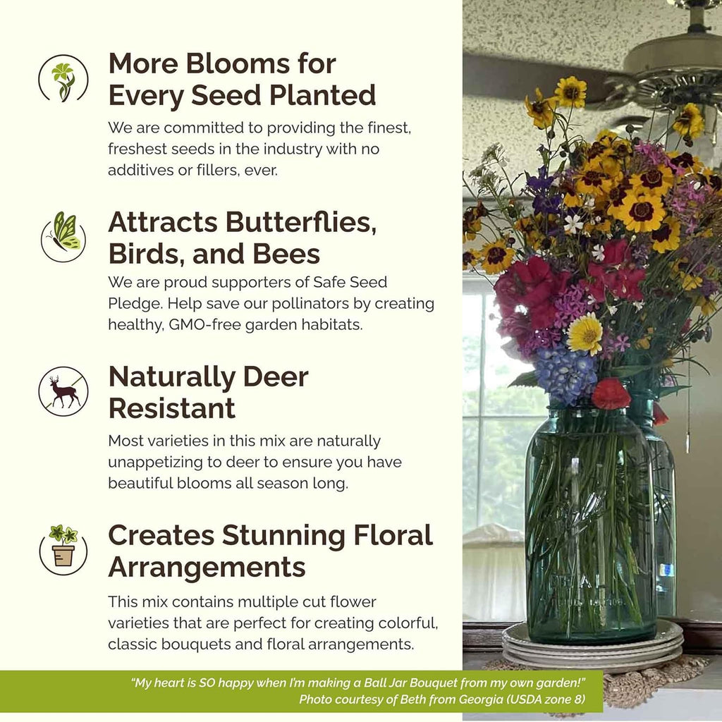 Eden Brothers Burst of Bloom Wildflower Mixed Seeds for Planting, 1/4 lb, 120,000+ Seeds with Cosmos, Black Eyed Susan | Attracts Pollinators, Plant in Spring or Fall, Zones 3, 4, 5, 6, 7, 8, 9, 10