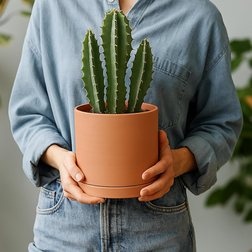 D'vine Dev Small 6 Inch Terracotta Plant Pot with Drainage Hole and Saucer, Round Cylinder Planter Pot for Indoor Plants, 40-X-A-3