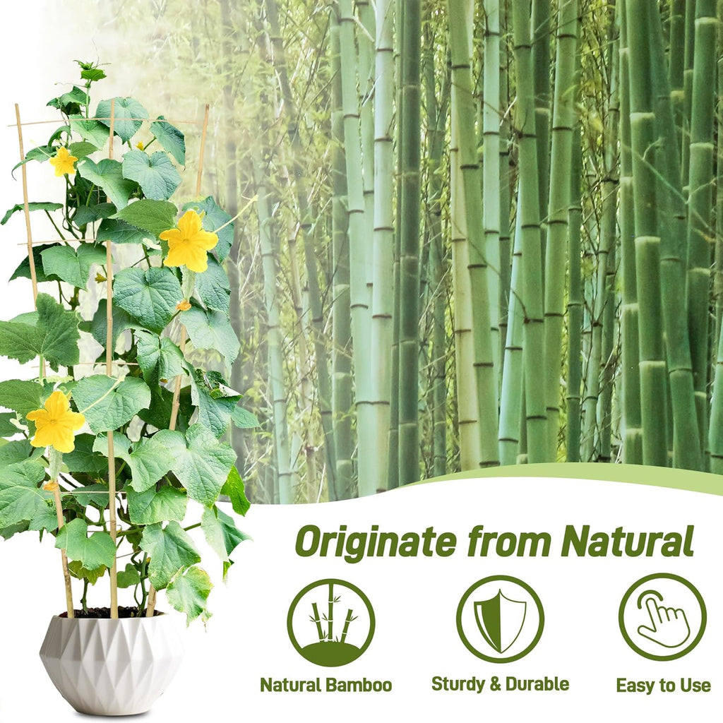 Avalution 10 Pack Bamboo Trellis for Climbing Plants, 4 FT Garden Ladder Trellis for Potted Plants Indoor, Fan-Shaped Small Plant Support Trellis for Houseplants Ivy Hoya Vine Monstera