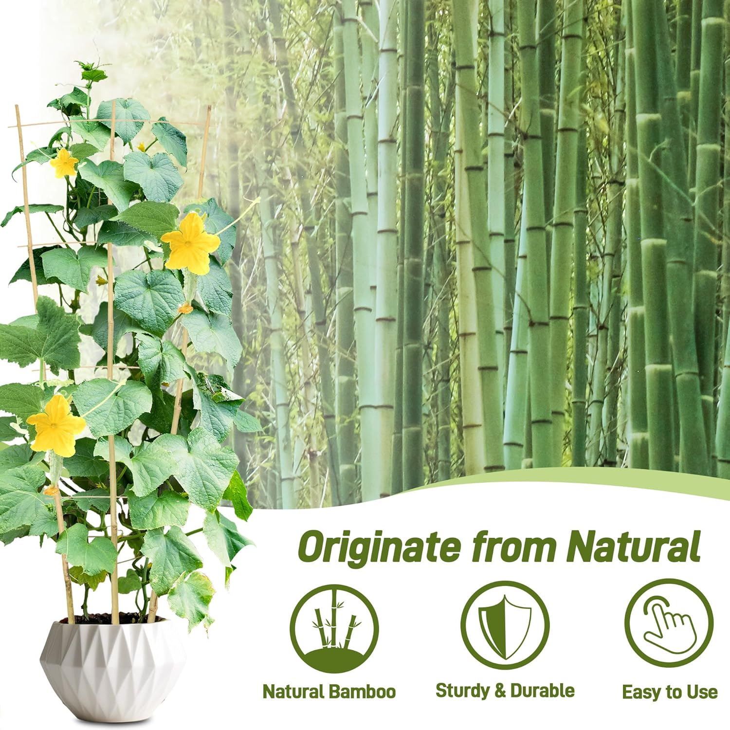 Avalution 10 Pack Bamboo Trellis for Climbing Plants, 4 FT Garden Ladder Trellis for Potted Plants Indoor, Fan-Shaped Small Plant Support Trellis for Houseplants Ivy Hoya Vine Monstera