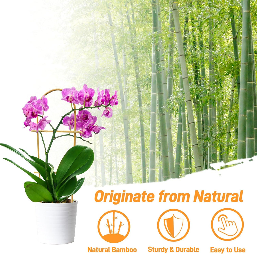 Avalution 10 Pack Bamboo U Trellis for Climbing Plants, 2ft Garden Ladder Trellis for Potted Plants Indoor, Ladder Small Plant Support Trellis for Houseplants Ivy Hoya Vine Monstera