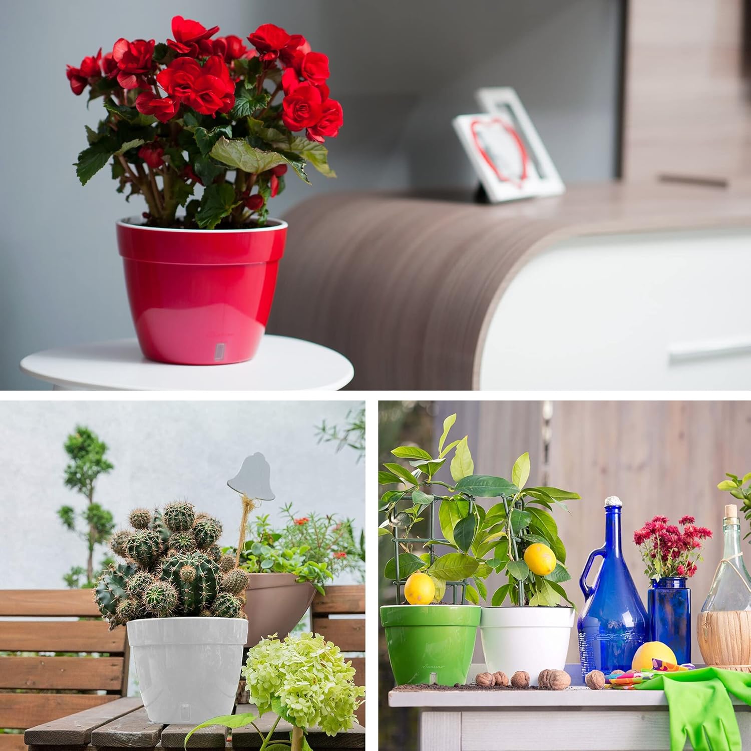 Santino ASTI 7.1 Inch Self Watering Planters Gold/Black (Set of 3) for Indoor Plants - Premium Quality Modern Plastic Pot w/Water Level Indicator for All House Plants, African Violets and Dahlias