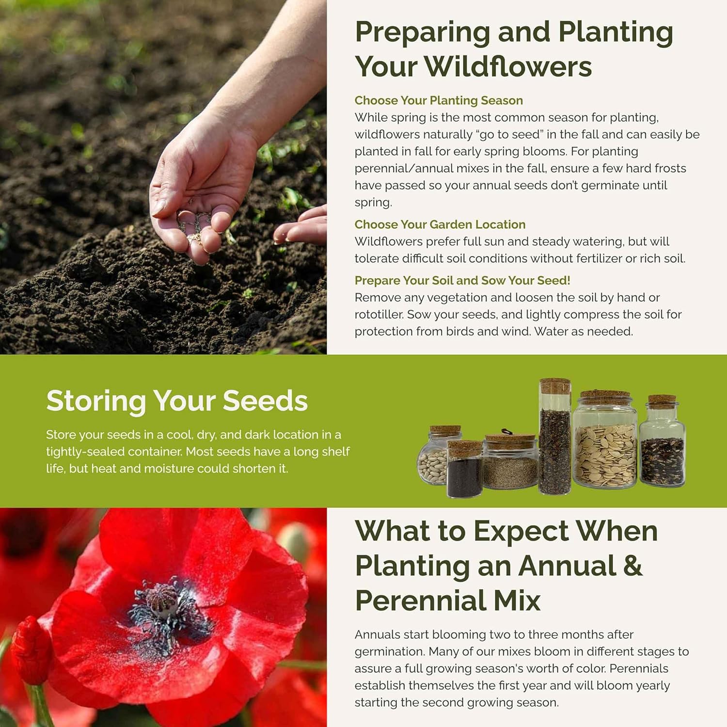 Eden Brothers Flowery Fields Forever Flower Mixed Seeds for Planting, 5 lb, 2,400,000+ Seeds with Cornflower, Candytuft | Attracts Pollinators, Plant in Spring or Fall, Zones 3, 4, 5, 6, 7, 8, 9, 10