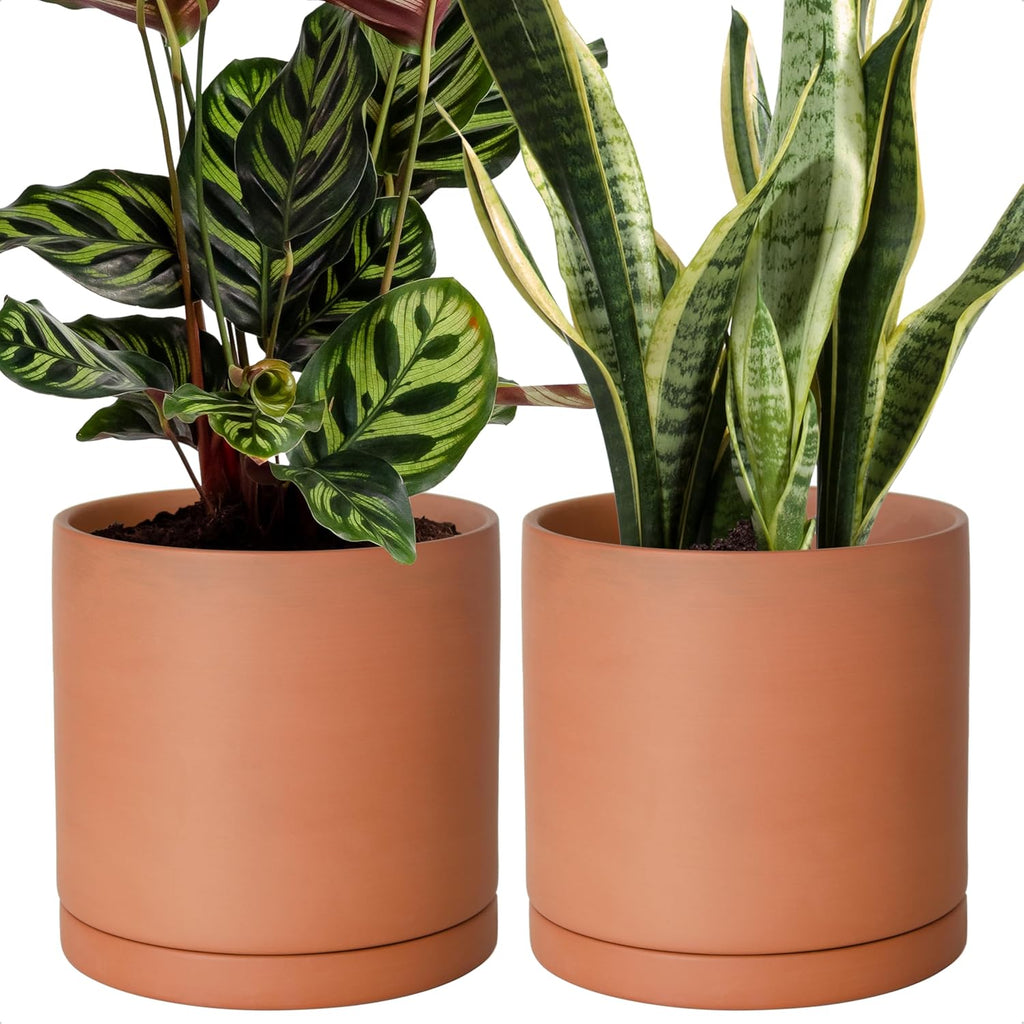 D'vine Dev Medium 8 Inch Terracotta Plant Pot with Drainage Hole and Saucer, Round Cylinder Planter Pot for Indoor Plants, Set of 2, 40-X-B-4