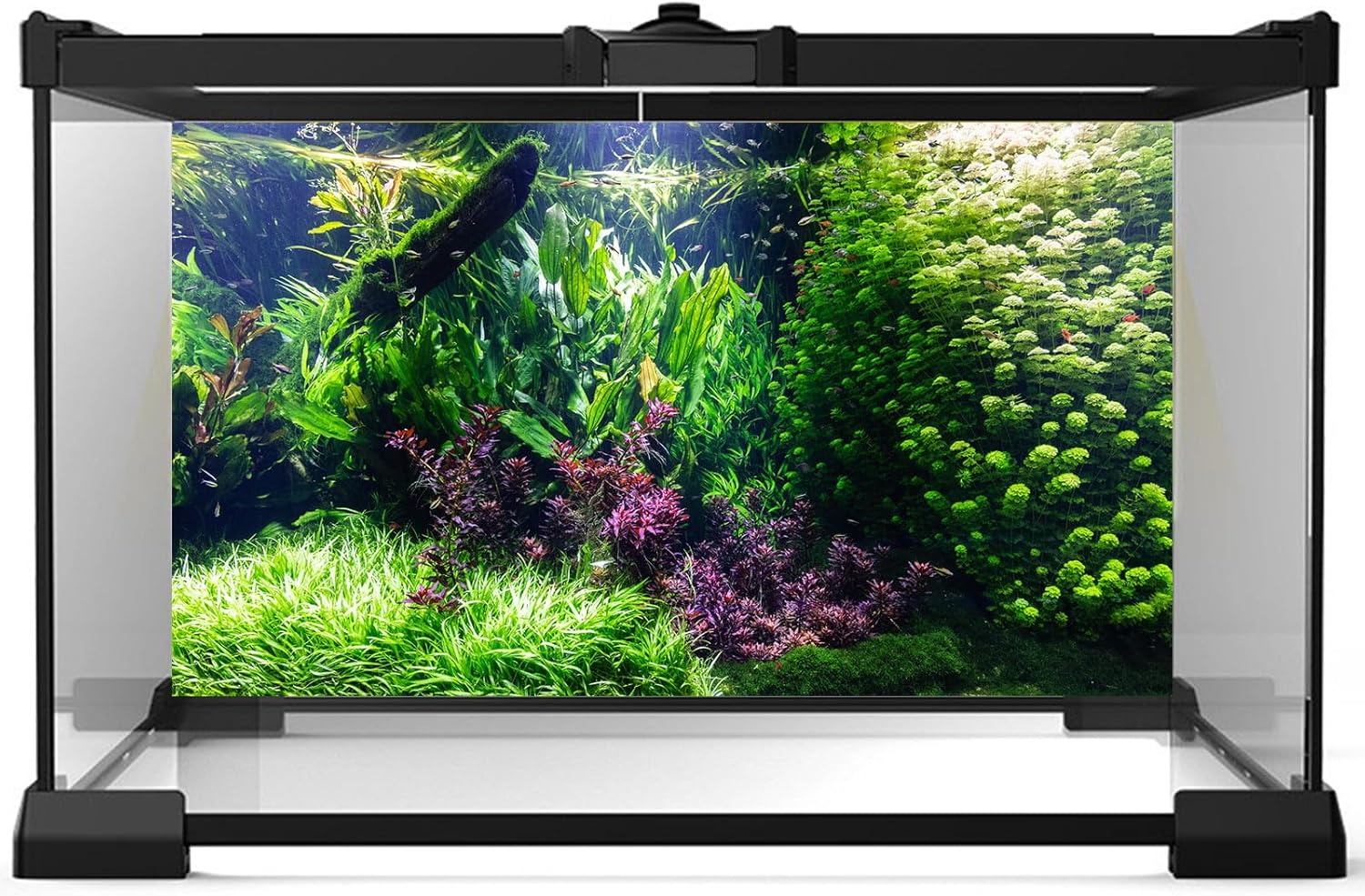 Aquarium Background Various Underwater Grass Plants Aquarium Backdrop Vivid and Fresh Green Aquatic Plants Stone River Bed and Dead Wood Tank Background Vinyl 36x24in