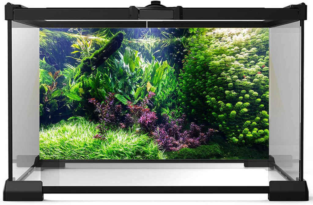 Aquarium Background Various Underwater Grass Plants Aquarium Backdrop Vivid and Fresh Green Aquatic Plants Stone River Bed and Dead Wood Tank Background Vinyl 72x18in