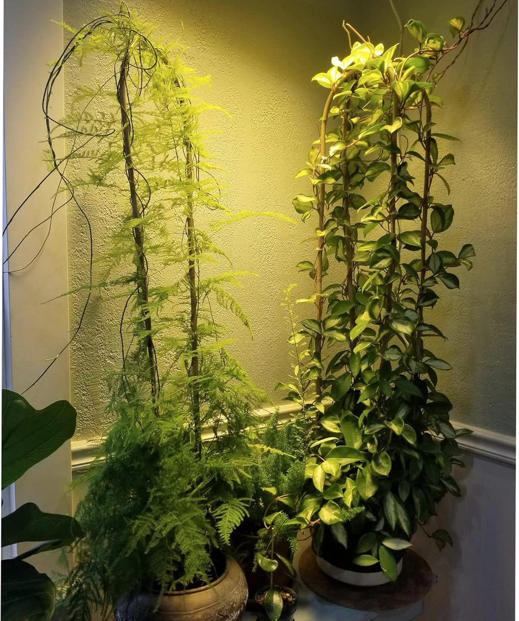 Avalution 10 Pcs Natural U-Hoops Bamboo Garden Trellis, 4 Ft Bamboo Trellis U-Shape Plant Support for Climbing Plants Indoor and Outdoor Use