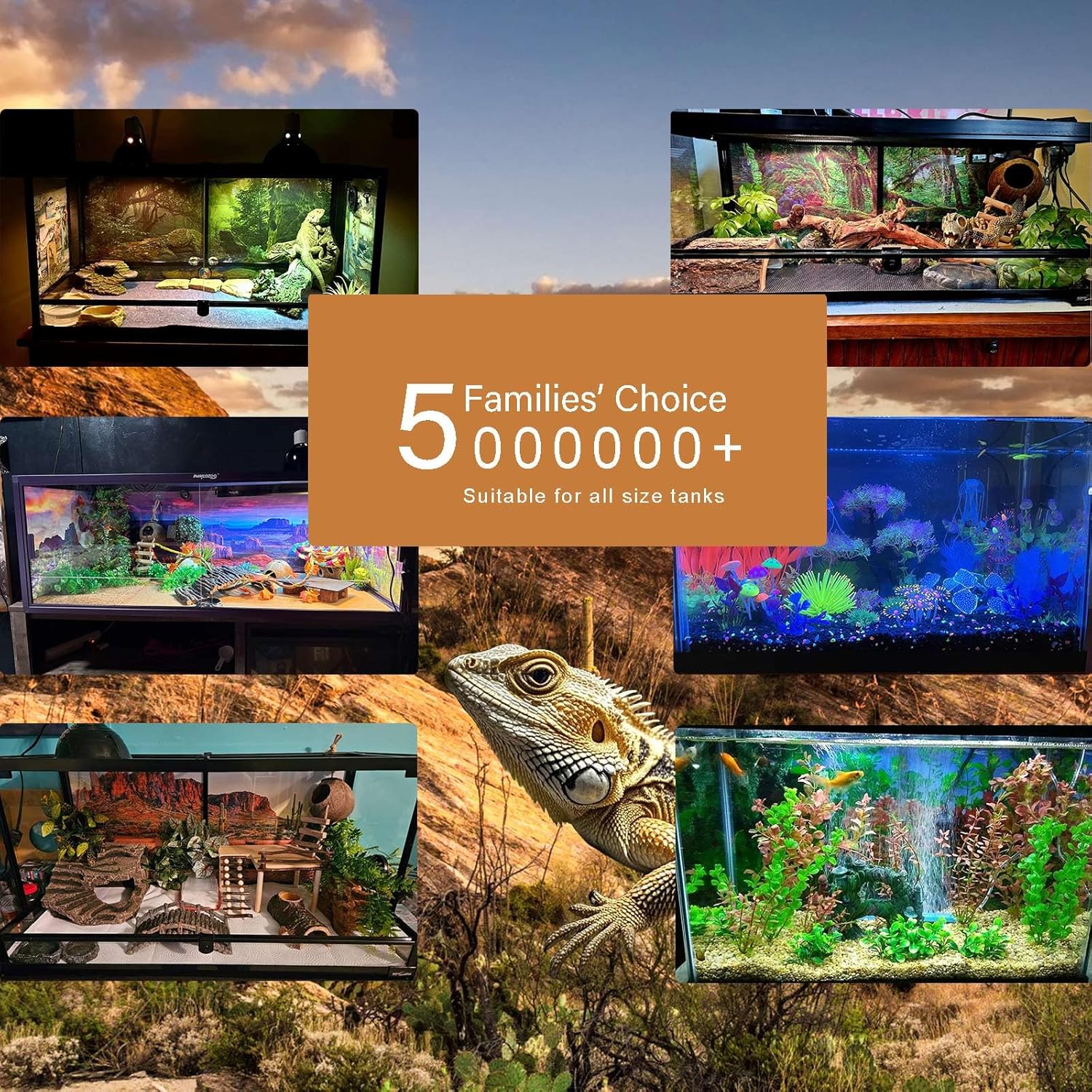 Underwater Aquarium Background Corals and Tropical Fish Terrarium Backdrop Rock Aquatic Plants Sunlight Rays Fish Tank Background Tank Aquarium Wallpaper Poster Decor 36x18in