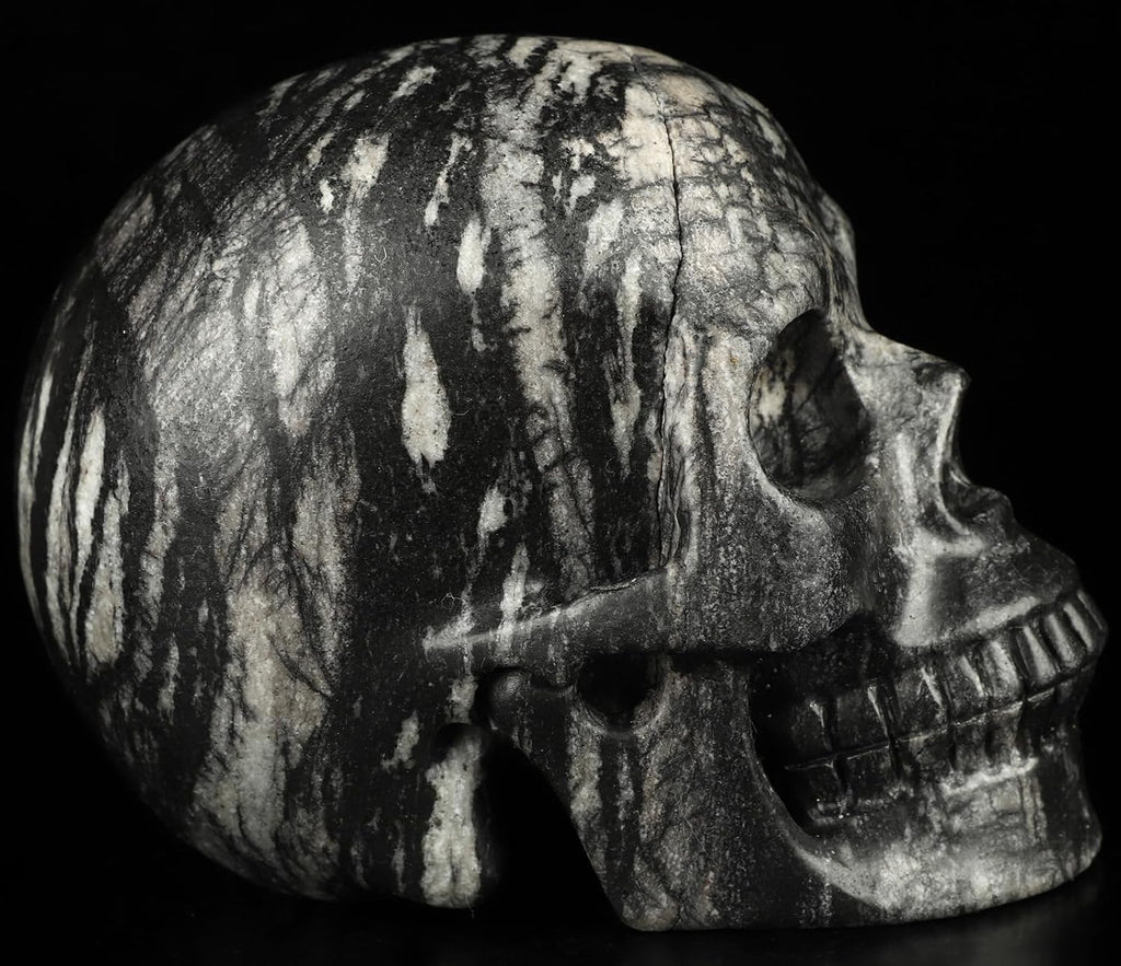 Skullis 5.0”Picasso Jasper Crystal Skull, Hand Carved Gemstone Fine Art Sculpture, Reiki Healing Stone Statue.2634.