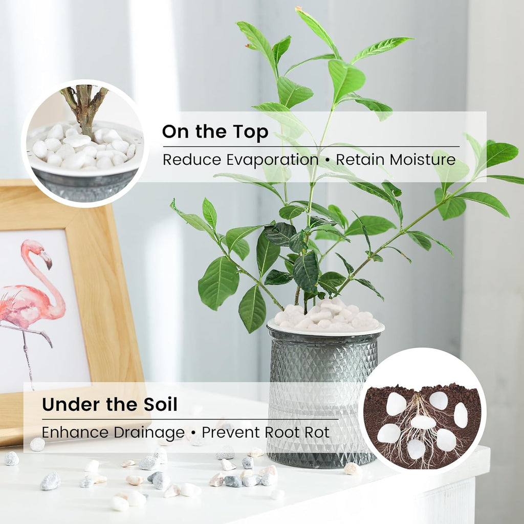 SIDONG 10 LB White River Rocks, 0.3-0.5 Inches Matte Pebbles for Indoor Plants, Aquarium Rocks Used in Fish Tank, Decorative Stones for Plants, Vases, Home Décor, Crafting, Garden Landscaping