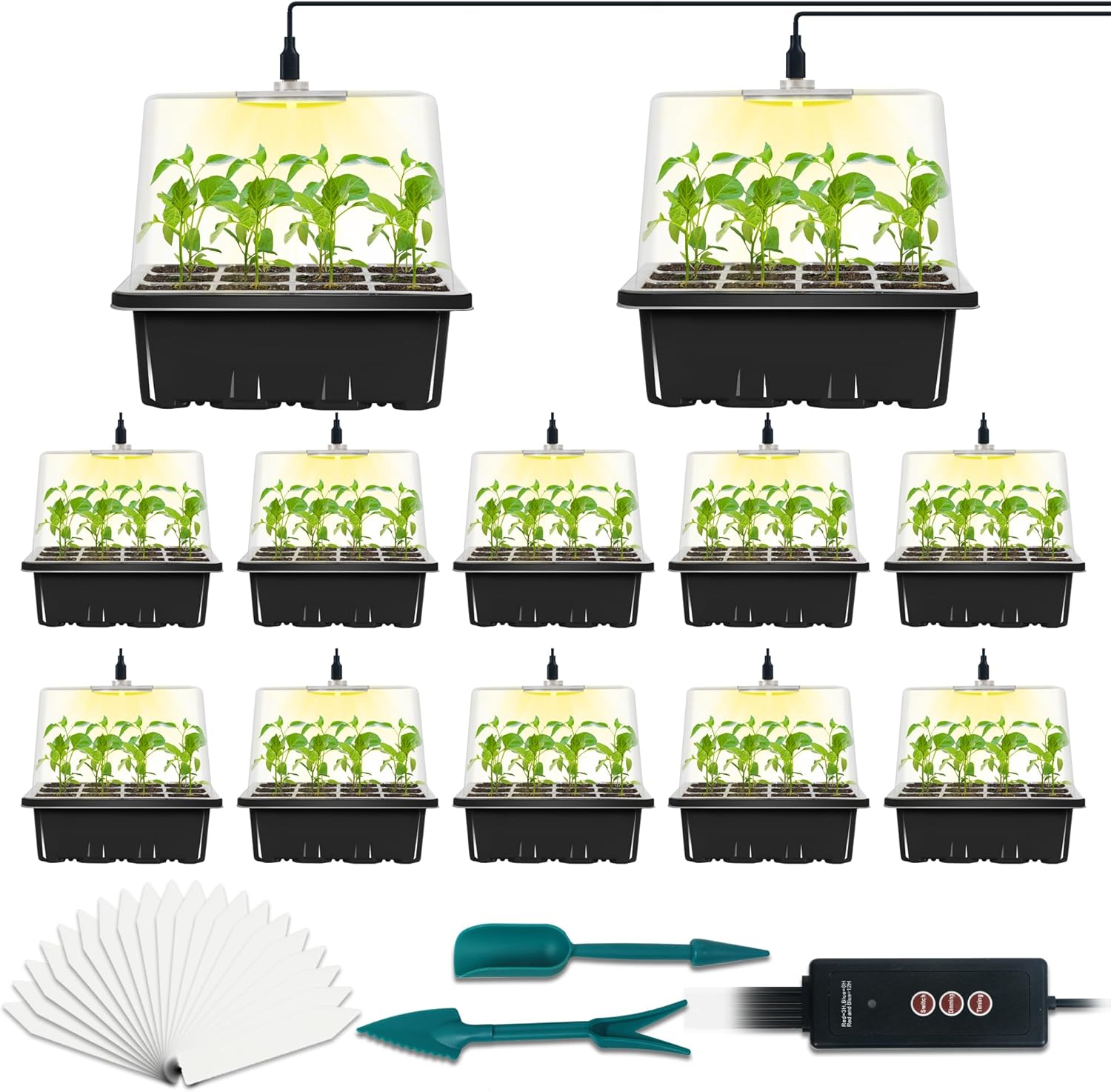 12-Set Seed Starter Tray with Grow Light, Seed Starting Trays Kits with Timing Controller Adjustable Humidity Domes Heightened Lids(12-Cells Per Tray)