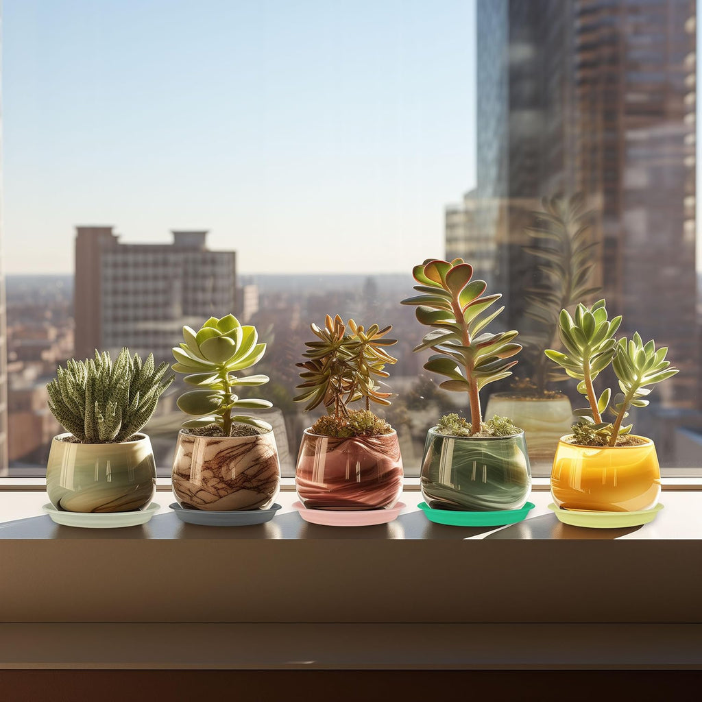 12Pcs Colourful Plant Saucer, 6 8 10 Inch Durable Plastic Plant Tray, Round Plant Pot Saucers, Drip Tray for Indoor and Outdoor Garden, Dark Gray