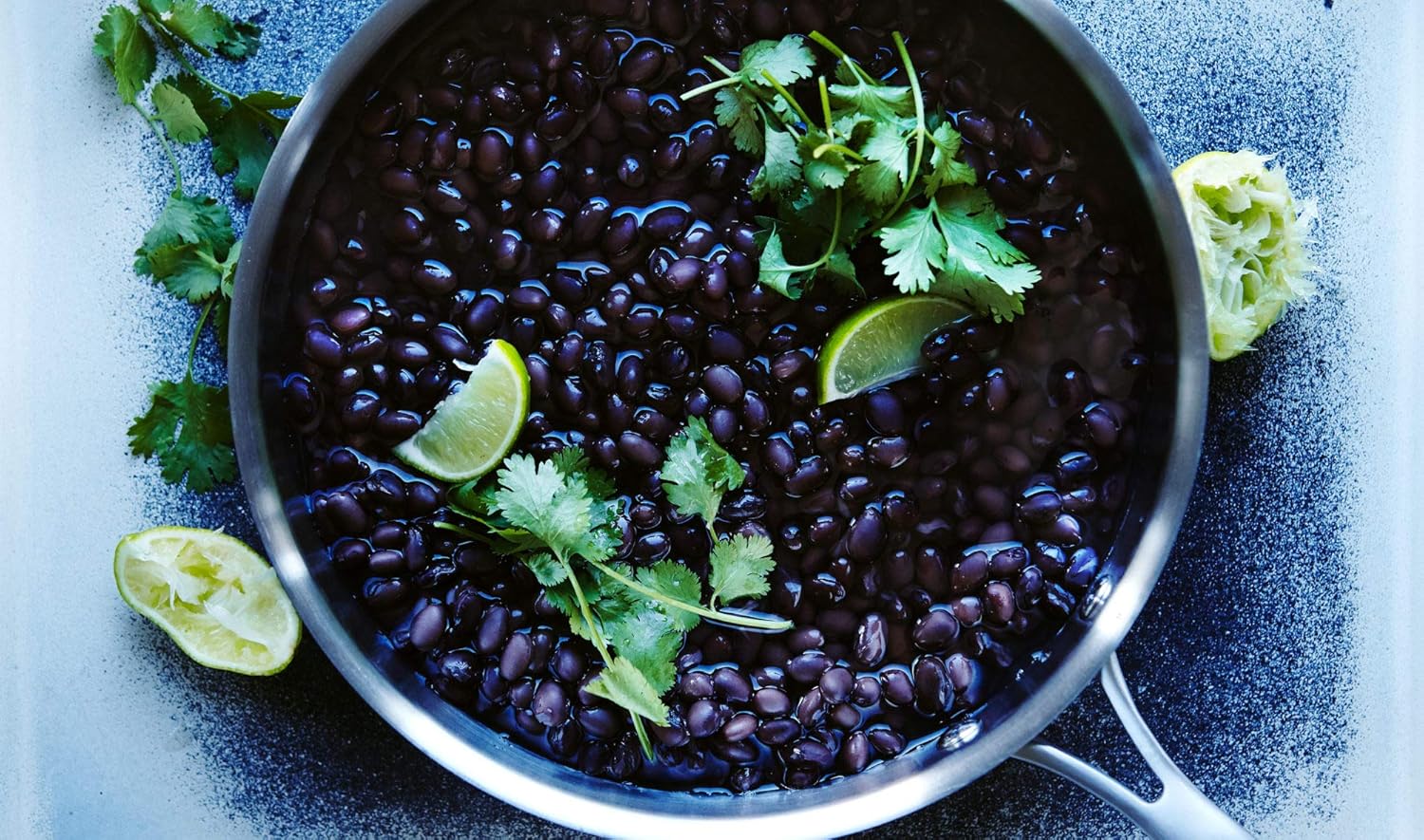 Black Turtle Seeds,25 Count Bean COOL BEANS N SPROUTS Brand. Home Gardening.