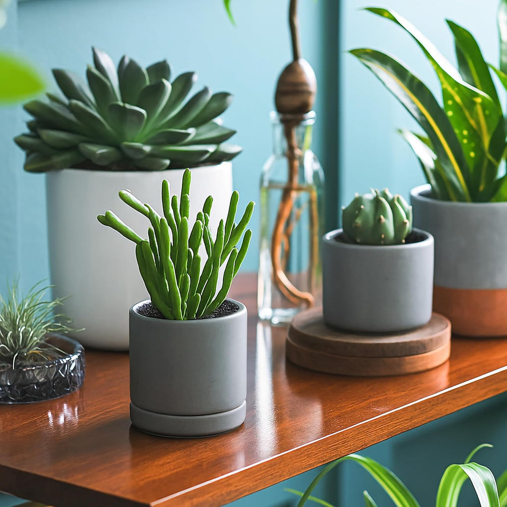 D'vine Dev 3 Inch & 4 Inch & 6 Inch, Set of 3 Round Ceramic Planter Pot with Drainage Hole and Saucer, Grey, 94-T-S-3