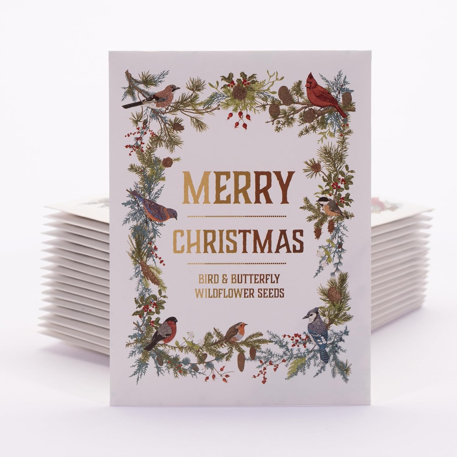 Bentley Seeds Co. Merry Christmas Wreath of Birds Holiday/Christmas Gift Tags | Non-GMO, Non Coated Bird & Butterfly Pollinator Wildflower Seed Mix | 25 Seed Packets