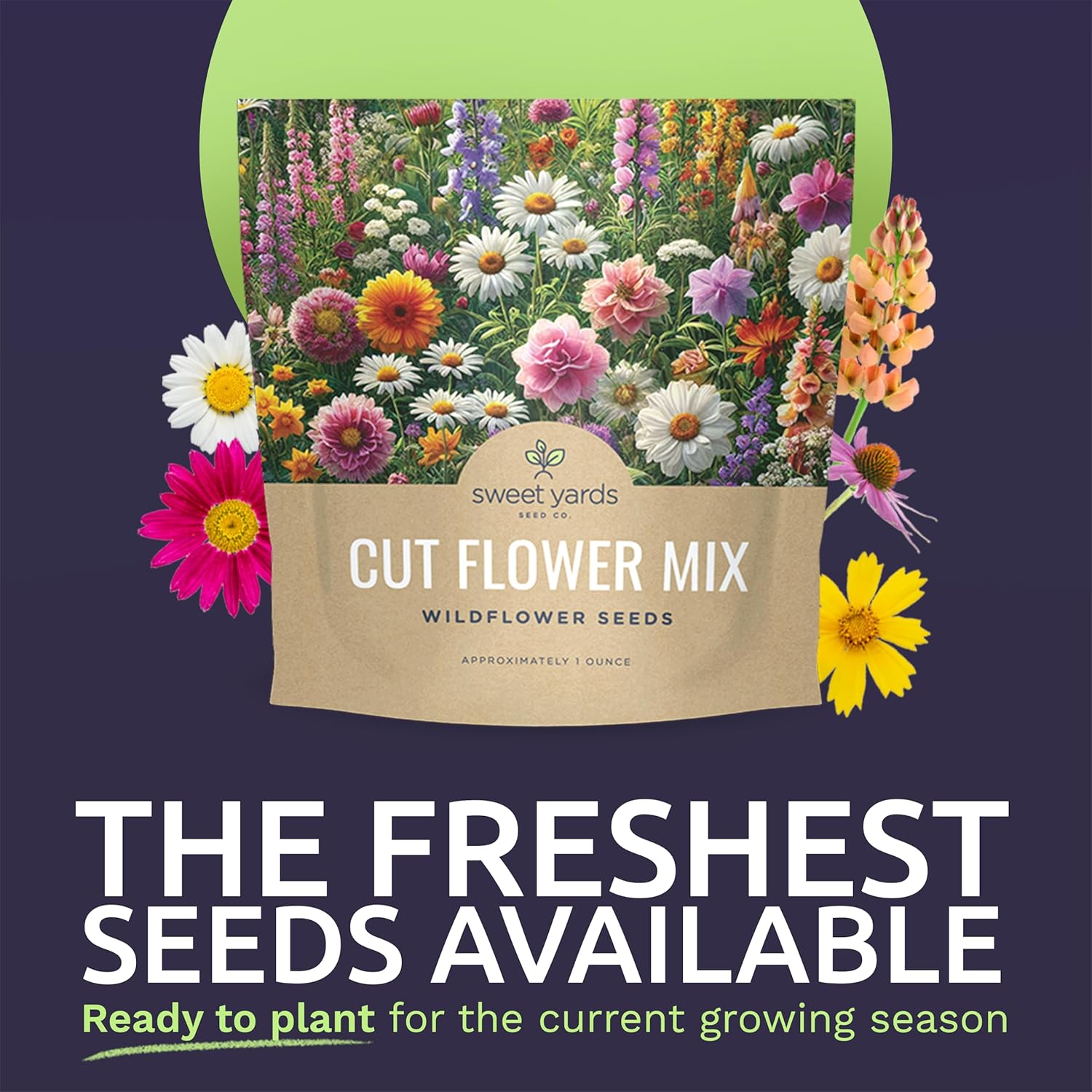 Cut Flower Garden Seeds - Extra Large 1 Ounce Packet - Over 7,500 Fresh Open Pollinated Non-GMO Wildflower Seeds - Long Lasting Annuals and Perennials with Bright Colors
