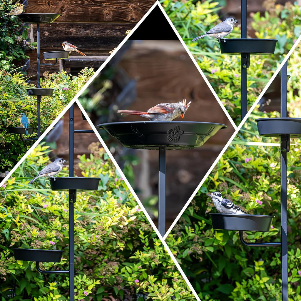 BOLITE Bird Bath for Outside, Metal Freestanding Birdbaths with Large Water Basin, Small Water Basin and Two Small Seed Bowls, Outdoors Garden Patio Yard Lawn Decor, Upgraded 5-Pronged Base, Black