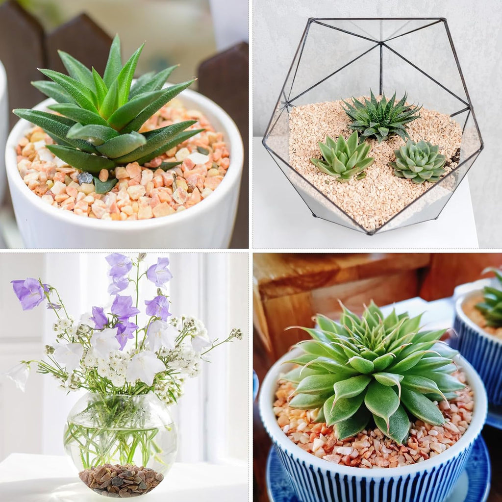 20lbs White Pebbles for Landscaping, 3/8inch Small Rocks for Gardening Succulent Cactus Planters, Natural Polished Pebbles, River Rocks for Plants, Vases