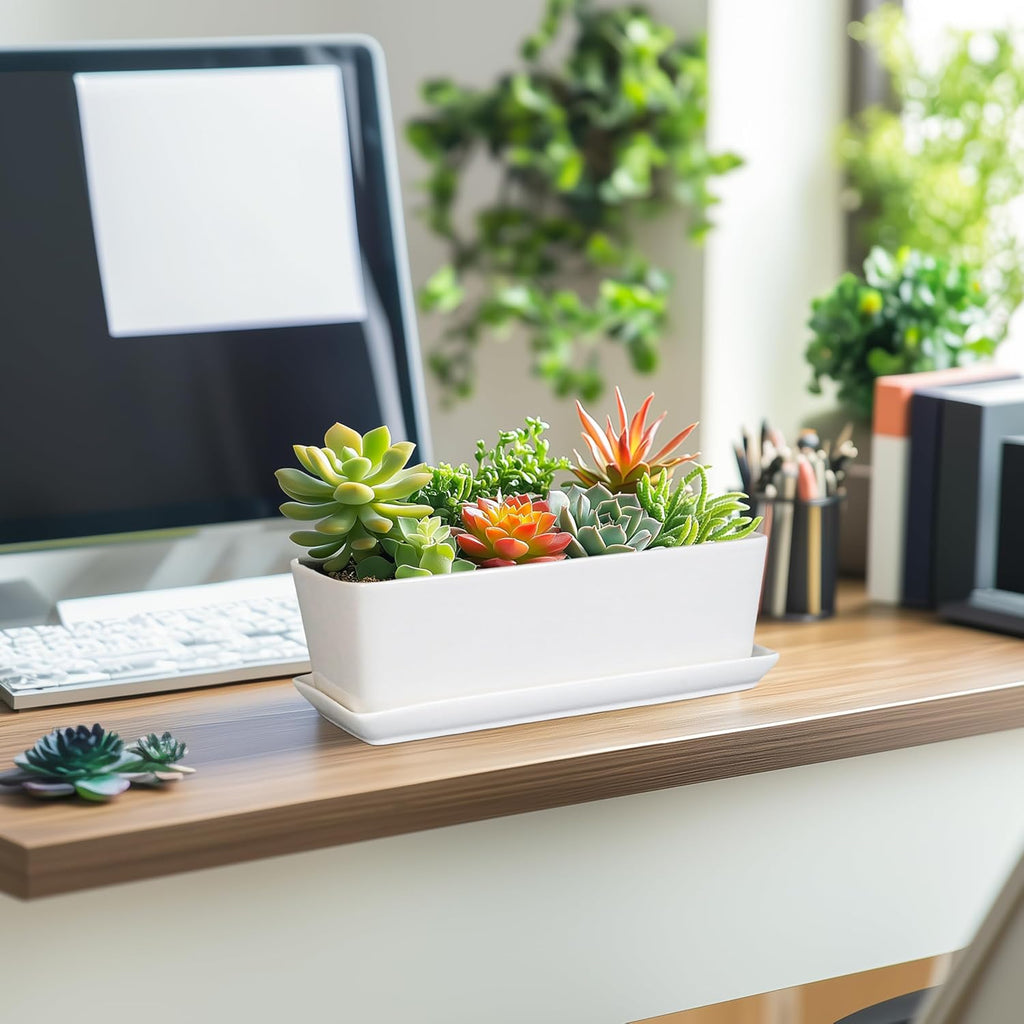 SQOWL Rectangular Planter - 10 Inch Ceramic Pots for Plants with Drainage Hole and Saucer, Succulent Pots for Indoor Outdoor, Cactus Herb Flower Planter, Home Decor, Gifts for Plant Lovers, White