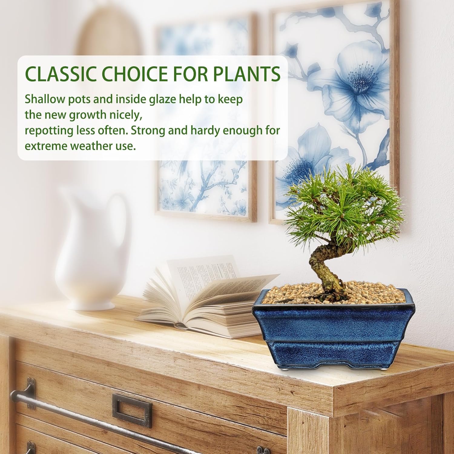 Blue Glazed Ceramic Bonsai Tree Pots with Drainage Hole, Set of 2 Rectangular Bonsai Pots Planters for Indoor & Outdoor Use, 8 Inch Shallow Bonzie Tree Pot for Succulents, Cacti, Orchids, Herbs