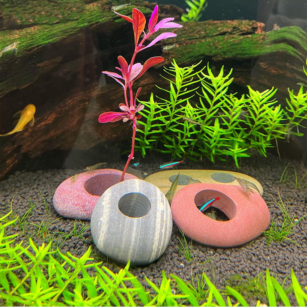 Natural River Stone Plant Weights for Aquarium, Handmade Pebble Anchors for Aquatic Plants, Fish Tank Decorations, Unique Shape & Size, Landscape Plant Weights (1.2″ Hole 5pcs)