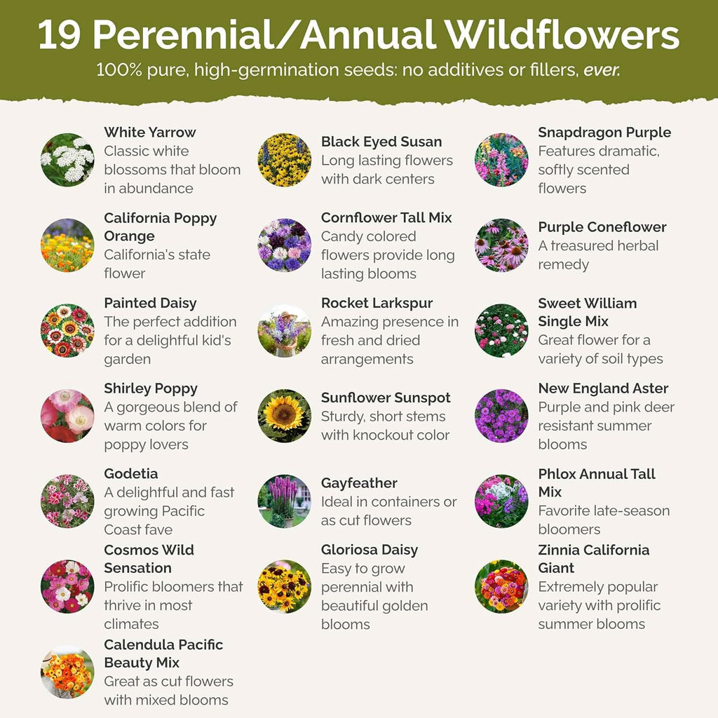 Eden Brothers Late Bloomer Wildflower Mixed Seeds for Planting, 5 lb, 2,400,000+ Seeds with White Yarrow, Snapdragon | Attracts Pollinators, Plant in Spring or Fall, Zones 3, 4, 5, 6, 7, 8, 9, 10