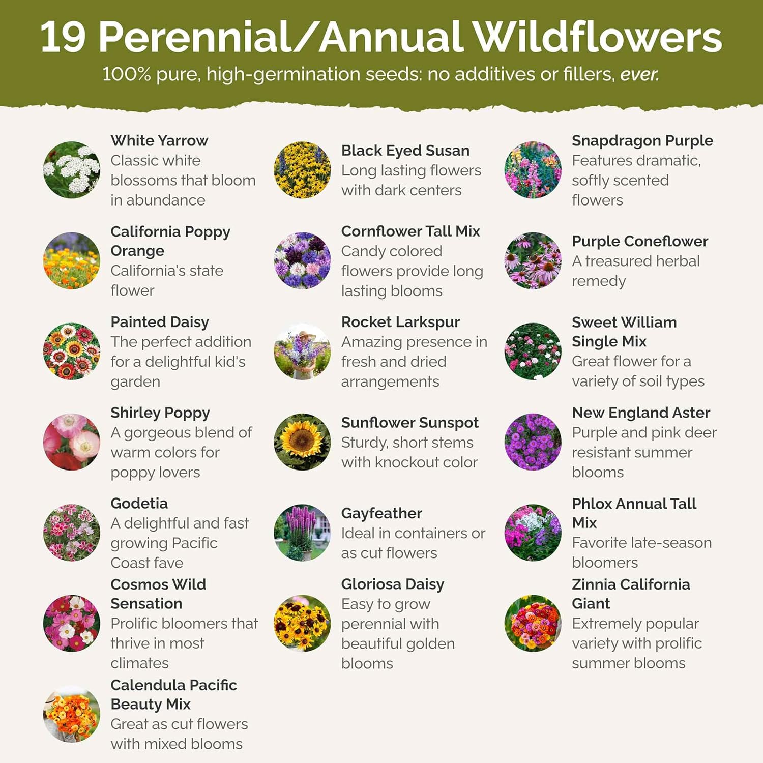 Eden Brothers Late Bloomer Wildflower Mixed Seeds for Planting, 5 lb, 2,400,000+ Seeds with White Yarrow, Snapdragon | Attracts Pollinators, Plant in Spring or Fall, Zones 3, 4, 5, 6, 7, 8, 9, 10