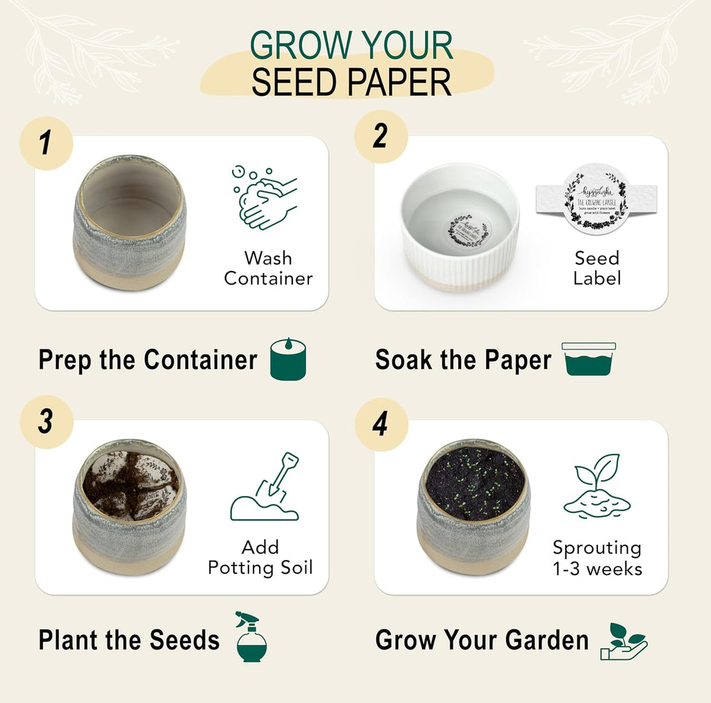 The Growing Candle, Chai Scented, 10oz Ceramic Pot, Aromatherapy Candles for Home, 100% Soy, Greta