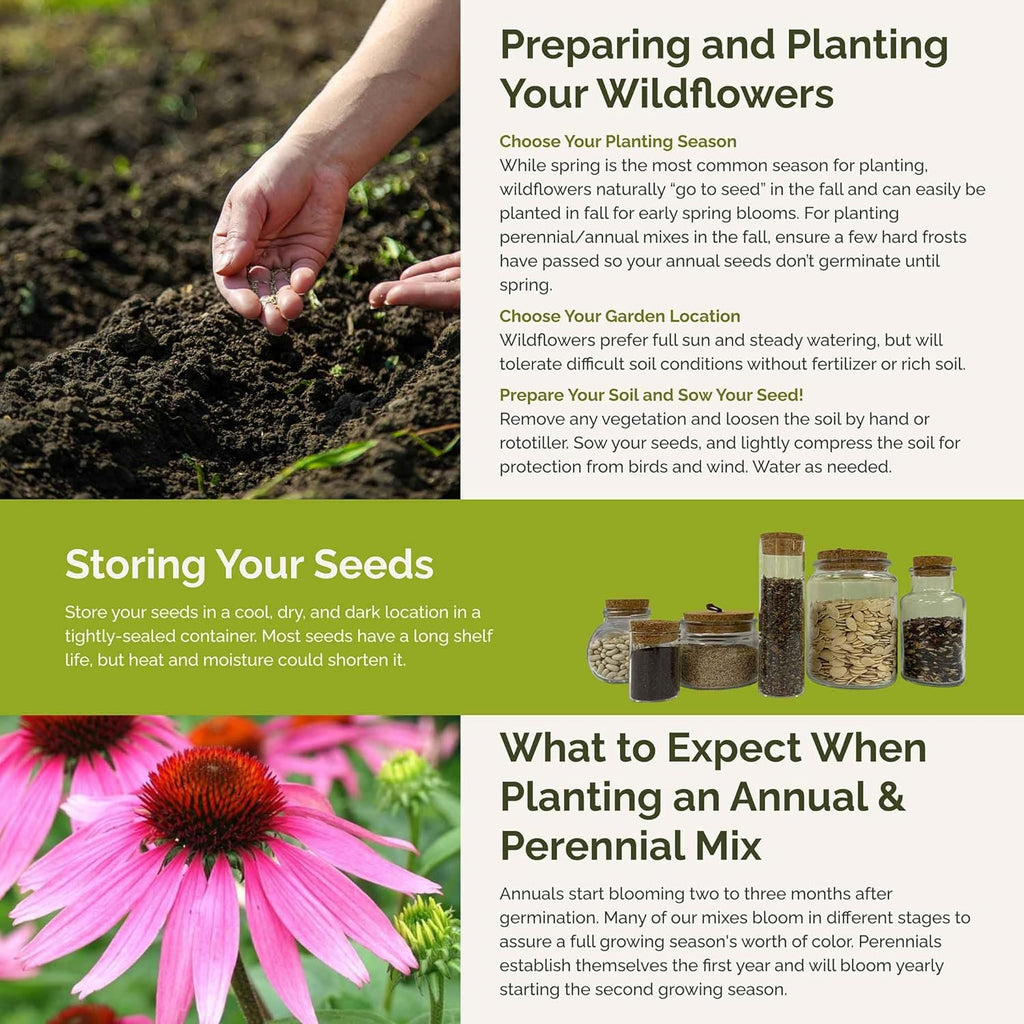 Eden Brothers Heirloom Flower Mixed Seeds for Planting, 1/4 lb, 120,000+ Seeds with Zinnia, Toadflax, Evening Primrose | Attracts Pollinators, Plant in Spring or Fall, Zones 3, 4, 5, 6, 7, 8, 9, 10