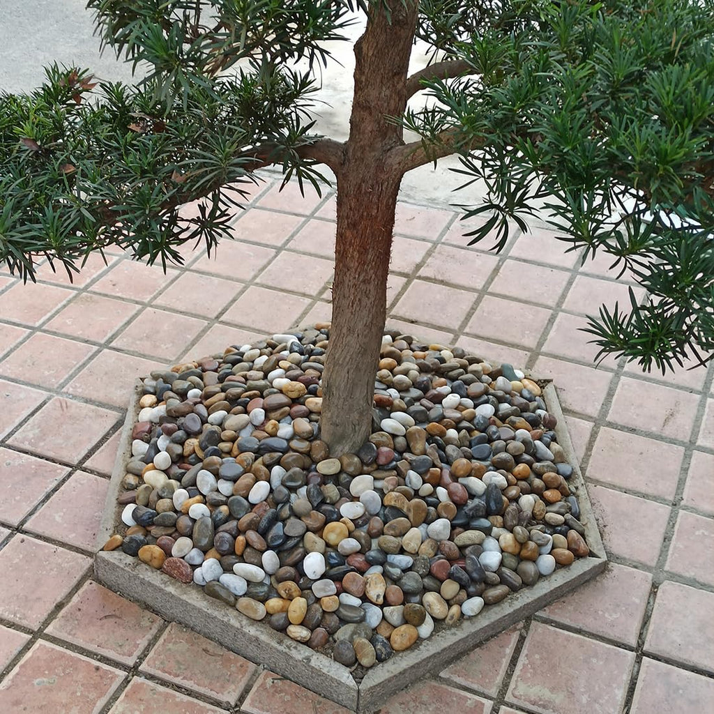 40lbs Large River Rocks for Landscaping, 3-4" Decorative Pebbles for Garden Design, Hand-Picked Smooth Stones for Fish Tank, Flower Pots, Indoor Water Fountains, Pathways, Backyard, Mixed Color