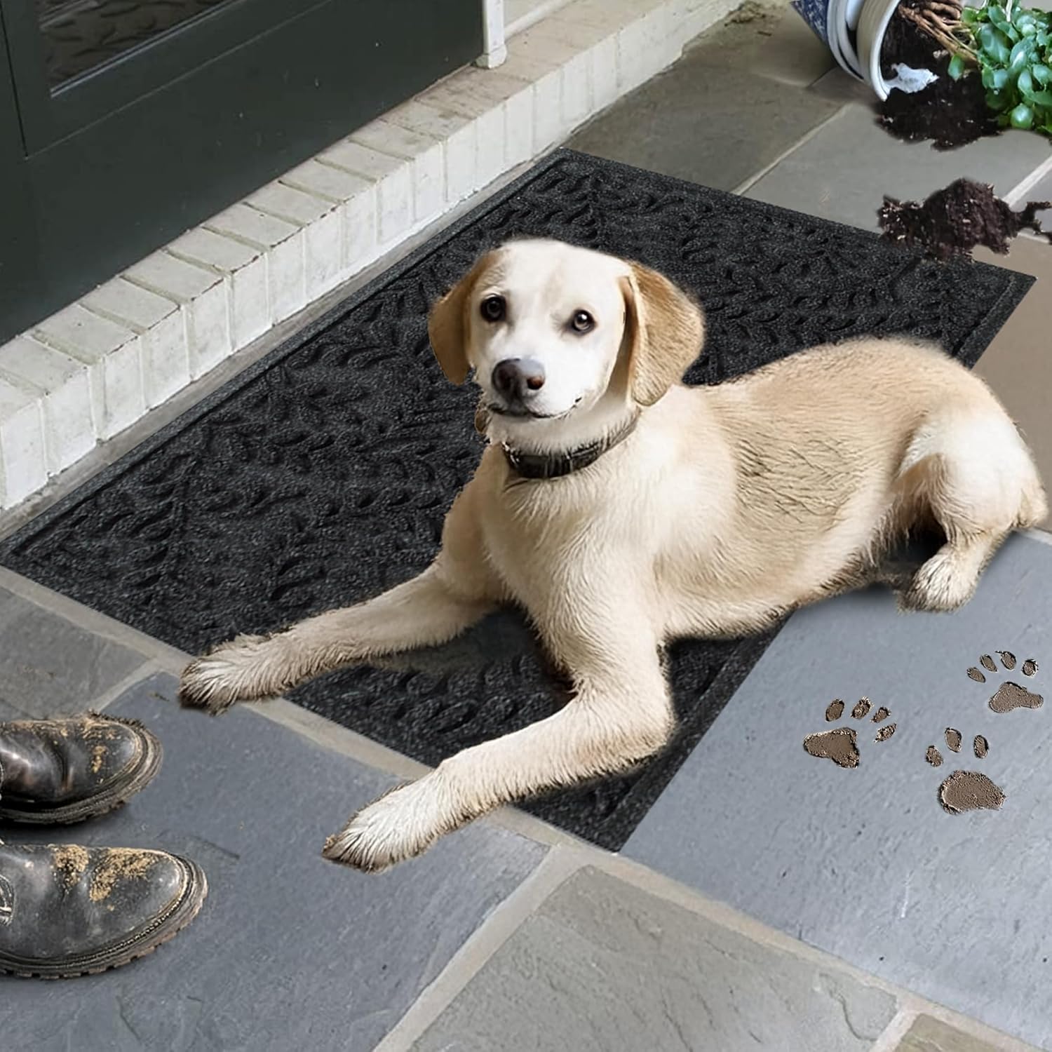 WaterHog Indoor/Outdoor Use Door Mat, 2' x 3', Made in USA, Welcome Mat for Front Door, Durable, Water-Trapping Floor Rug, Decorative, Skid-Resistant Entryway Rug, Boxwood Collection, Charcoal