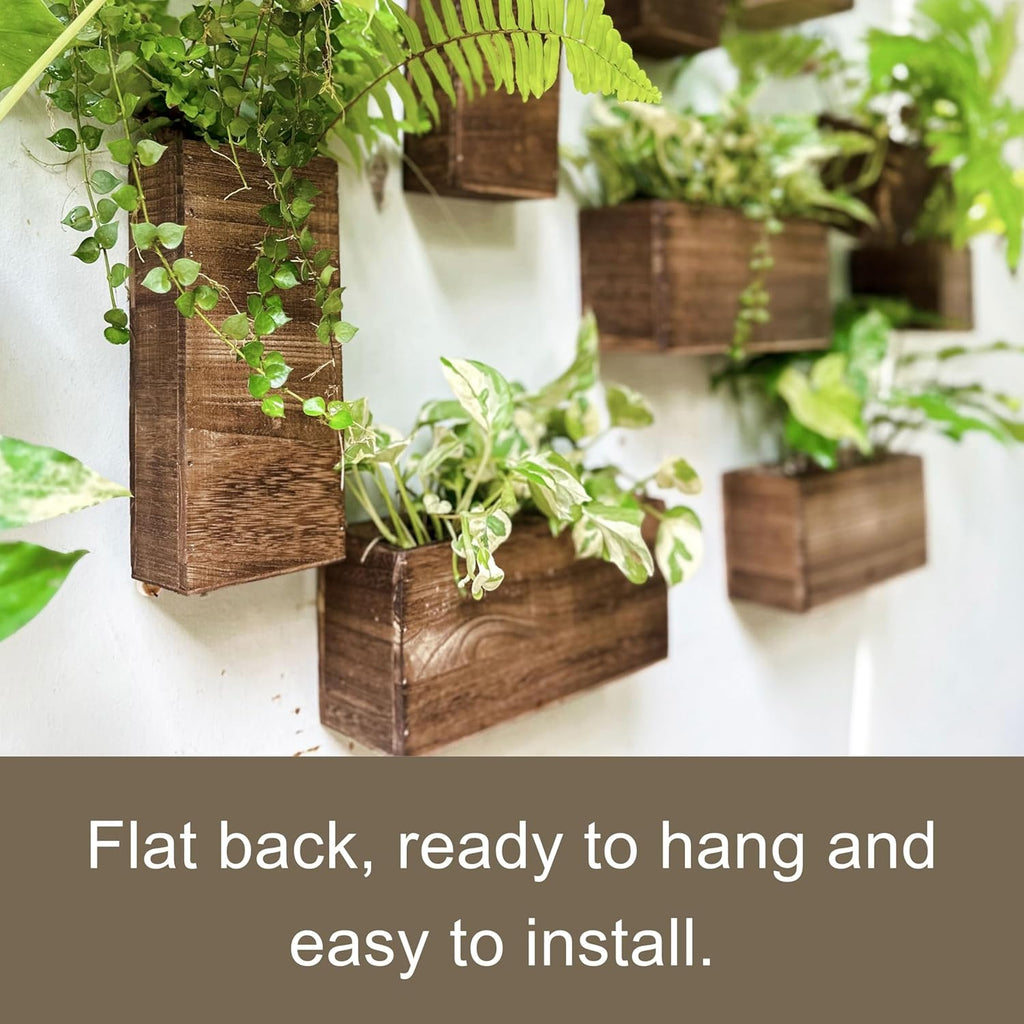 LaLaGreen Wood Planter Box for Plants (6 Pack) Wooden Hanging Wall Planters for Indoor Plant Holder Vase for Dried Flowers, Modern Farmhouse Wall Decor Living Room Bedroom Kitchen Office Home Garden
